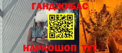 МДПВ Бийск
