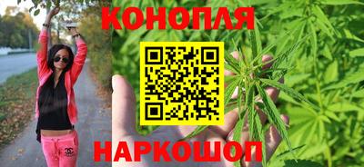 МДПВ Бийск