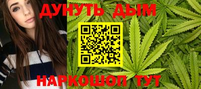 МДПВ Бийск