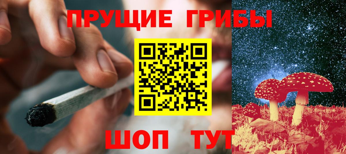 Галлюциногенные грибы MAGIC MUSHROOMS  Вход с VPN  Звенигород 