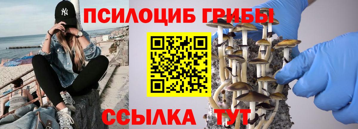 Псилоцибиновые грибы Magic Shrooms Звенигород