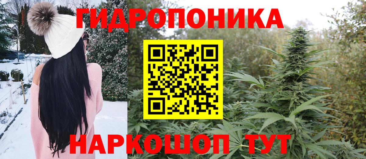 Каннабис SATIVA & INDICA  Шишки марихуана SATIVA & INDICA  Вход с VPN  Бошки Шишки планчик  Звенигород  Шишки марихуана LSD WEED 